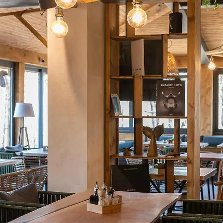 Utopia Forest 布尔加斯